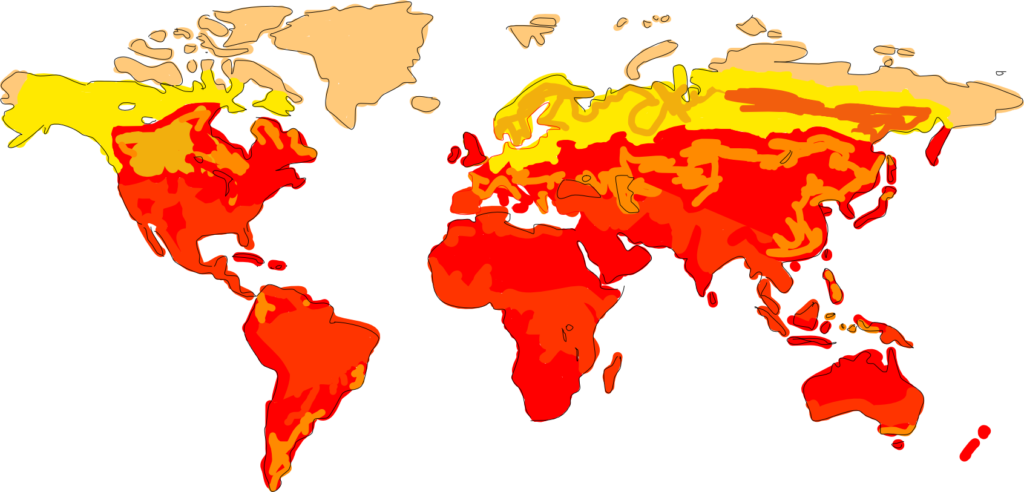 Map Of Skin Color Around The World Map Only 1024x492 